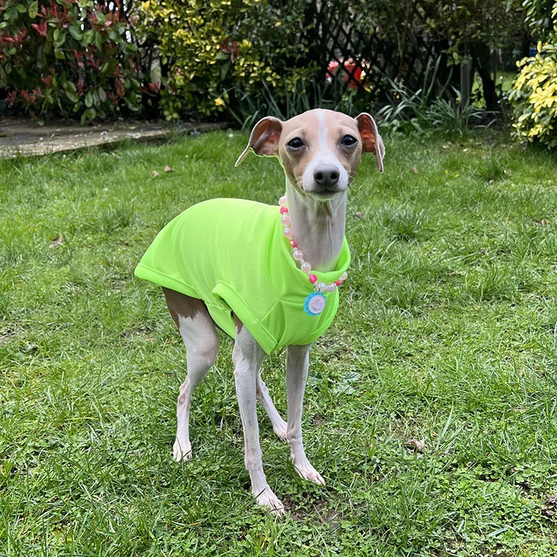 Summer Whippet Turtleneck UV Protection Dog Coat Italian Greyhound