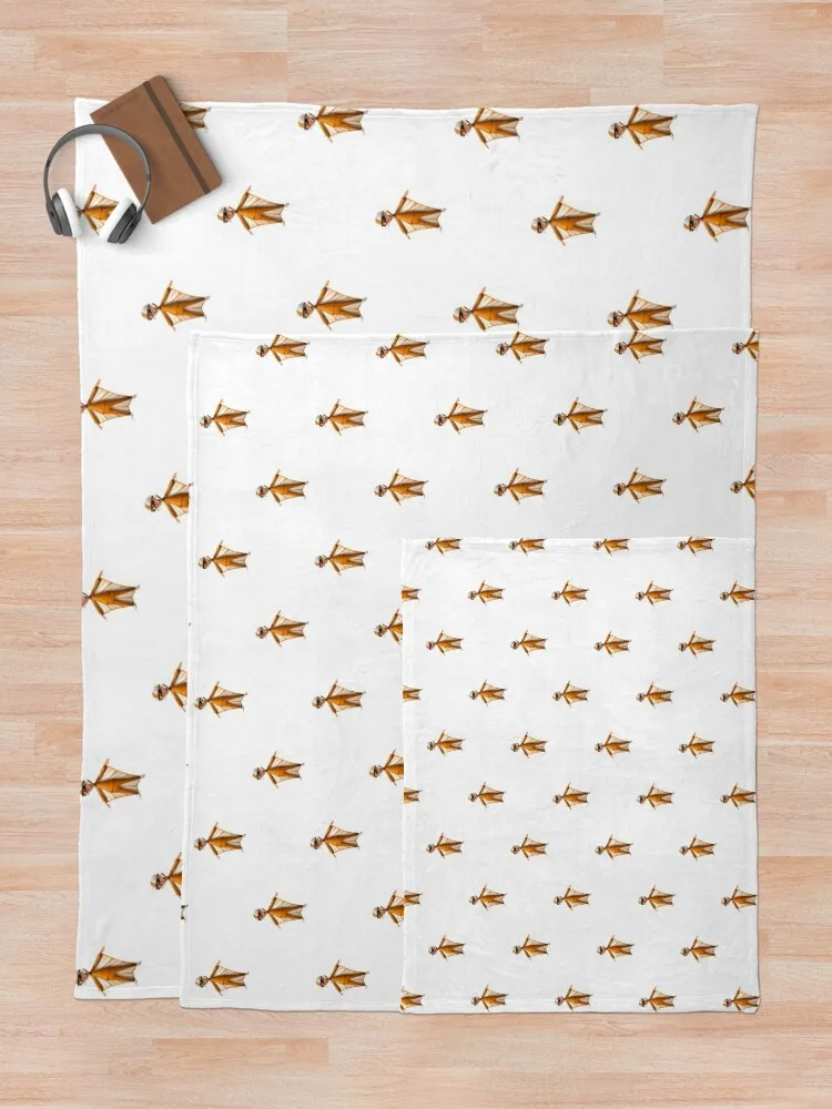 ����, �װ� ���� ���� ���� ħ�� �ö��� ���, �мųʺ� ����Ŷ