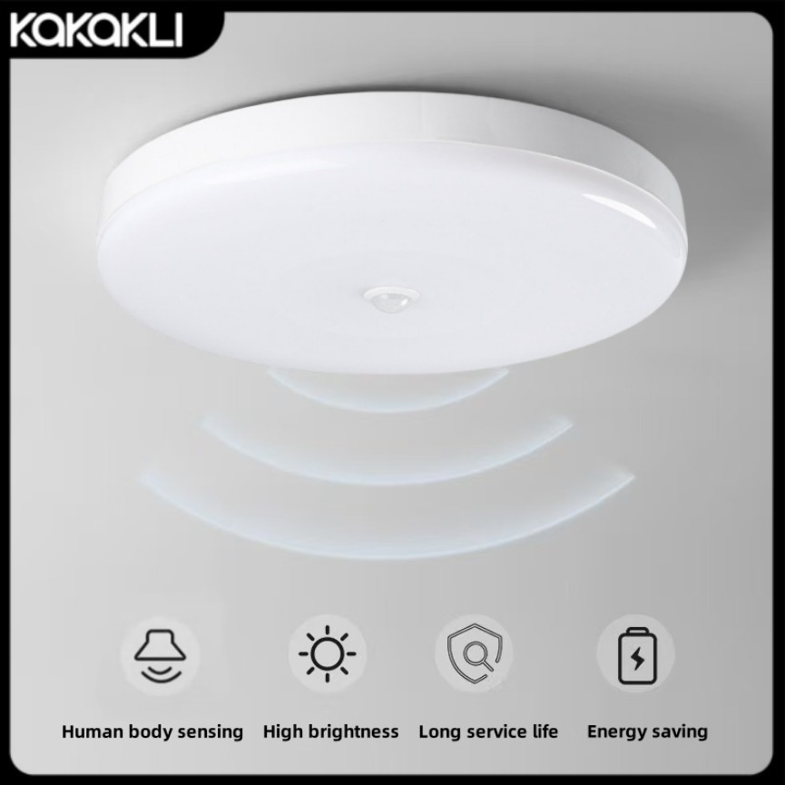 Human Infrared Sensing Ceiling Light Motion Sensor Porch Corridor Staircase Garage Balcony Bedroom Home LED Ceiling Lights