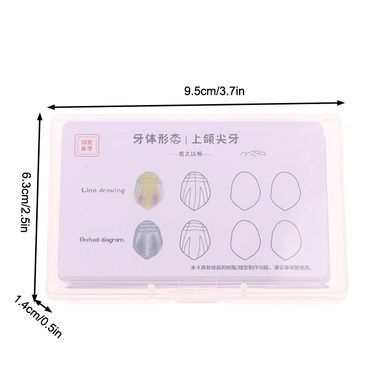 레진 치과용 복합 레진 필링 연습 보드 모델 치아 템플릿 복원 치실 치과의사 전치부 후치부 연습용 스택