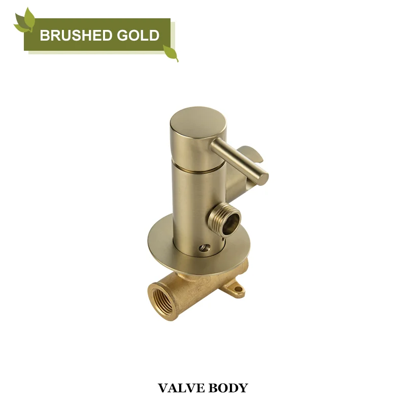 BG Valve Body