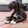 Dog Tie Out Cable Under 250LBS | Steel Wire Leash with Rotatable Buckle | Outdoor Camping Backyard Walking Chains | 6 Size 2
