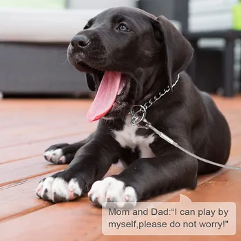 Dog Tie Out Cable Under 250LBS | Steel Wire Leash with Rotatable Buckle | Outdoor Camping Backyard Walking Chains | 6 Size 2