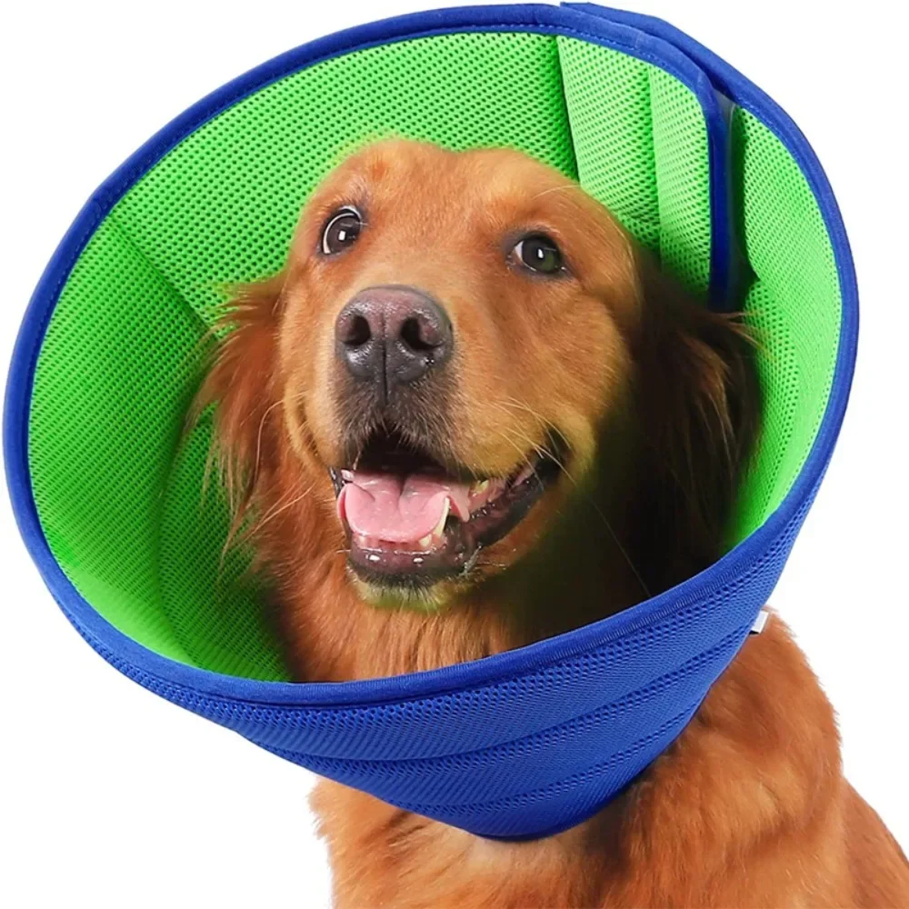 

Pet Dog Cover Cat Dog Anti-tim Anti-bite Anti-scratch Protection Collar Pet Recovery Lightweight Dog Conical Collar