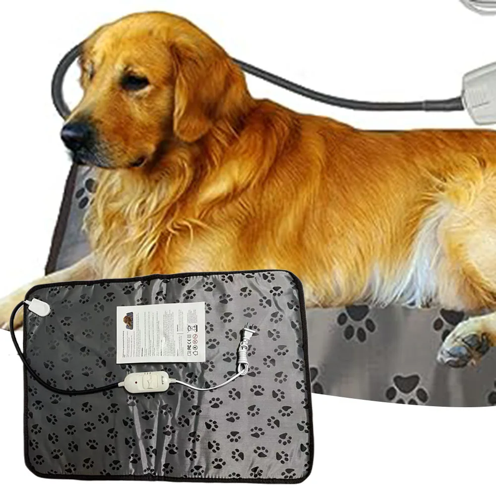 ��������� �ֿϵ��� ���� ���, ��ä�ο� ������ �¿� ��Ʈ, �ֿϵ��� ���� ��ǰ