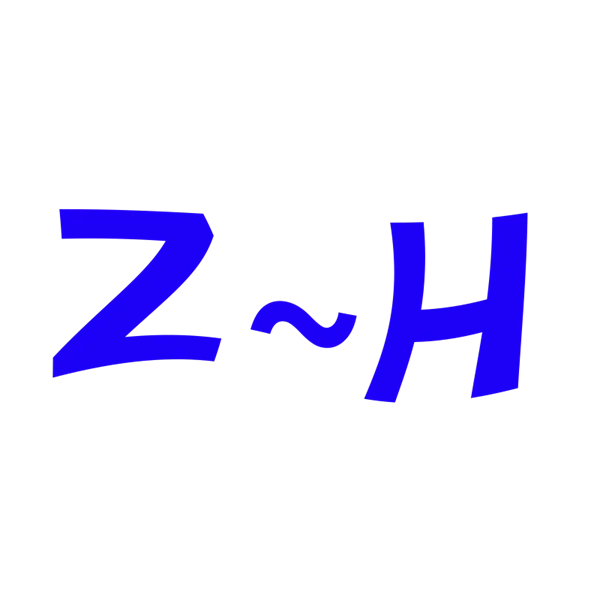 Z~H Store