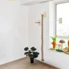 1 Piece Wall-mounted Cat Climbing Rope Solid Wooden Pedals And  Sisal Rope Kitten Training Claw Grinding Indoor Cat Furniture 6