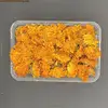 calendula-1-box