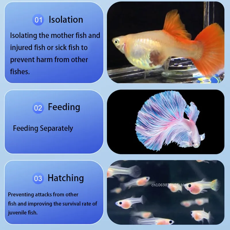 Acrylic Floating Fish Breeding Isolation Box Round Aquarium Breeder Feeder Fish Tank Hatching Incubator Aquarium Hatchery Tools