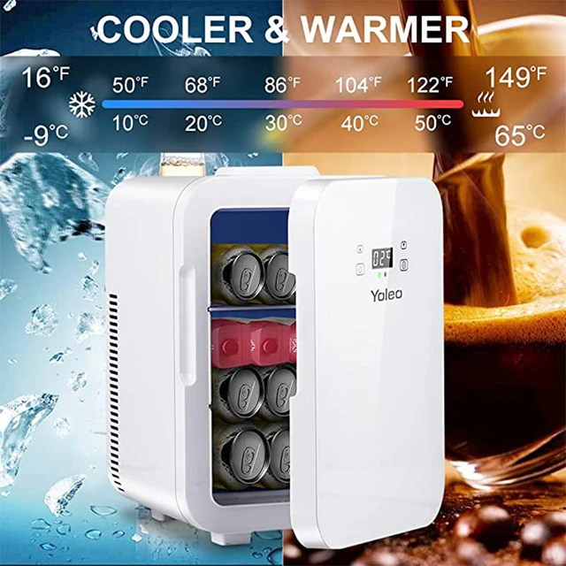YOLEO Mini frigo 15L portatile in acciaio inossidabile con funzione di  raffreddamento e riscaldamento 0 ~