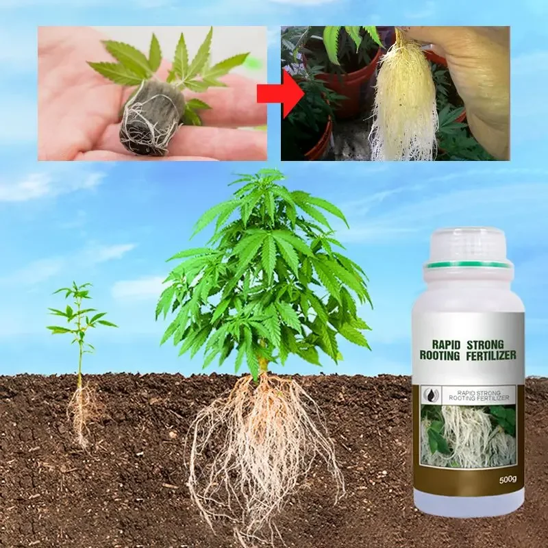 Rapid Strong Rooting Fertilizer Plant Universal Rooting Agent Cuttings with Powerful Strong Rooting Powder Agent for Home Garden