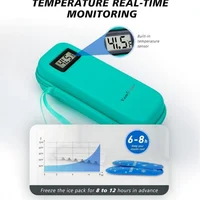 Refroidisseur d'insuline avec affichage de la température – Sac réfrigéré pour médicaments avec 2 blocs de glace pour stylo à médicaments diabétiques, voyage, usage quotidien 2