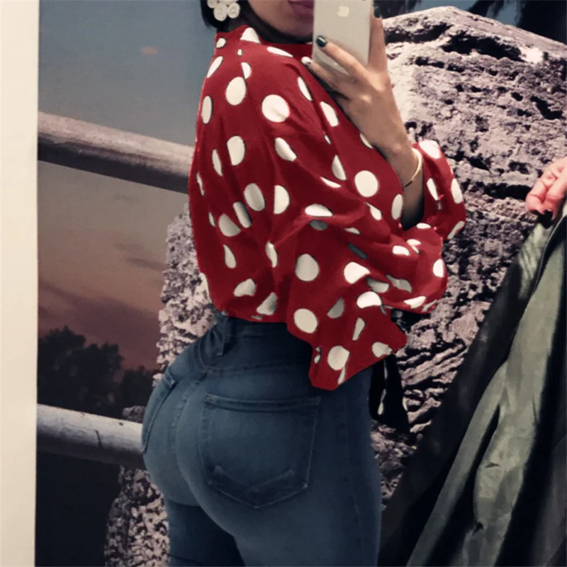 Рисунок 4 - Блузка женская в горошек