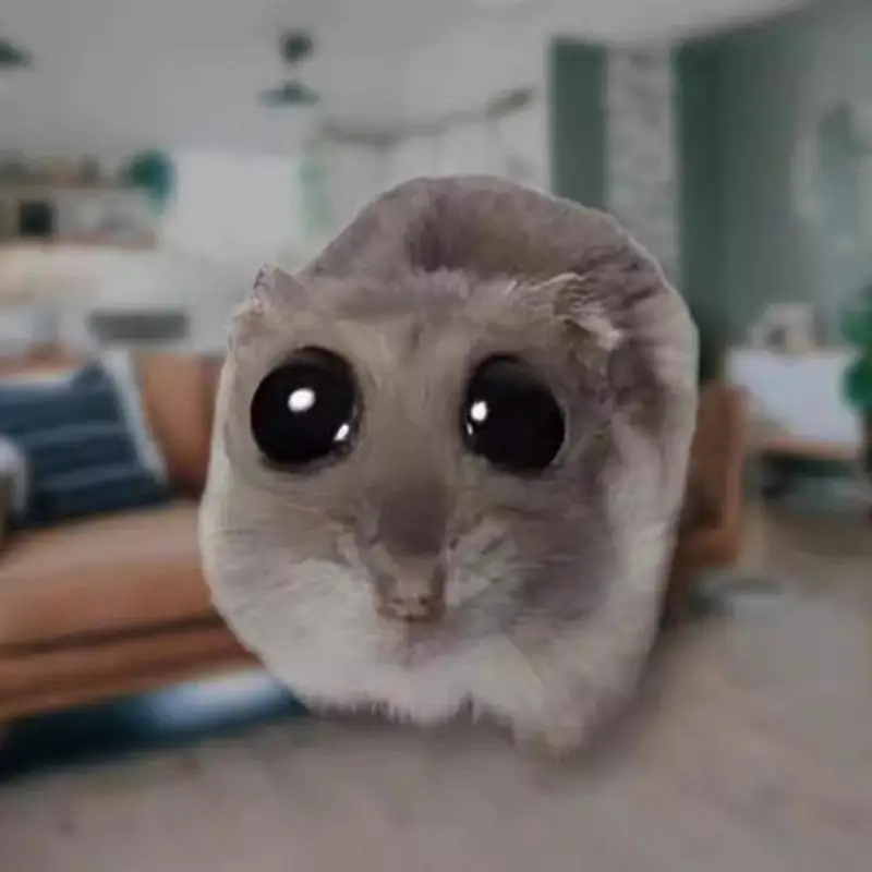 

Грустный хомяк, мем, плюшевая игрушка, 20 см, милый плюшевый хомяк, плюшевые животные, куклы, украшение для дома, детские подарки на день рождения для девочек