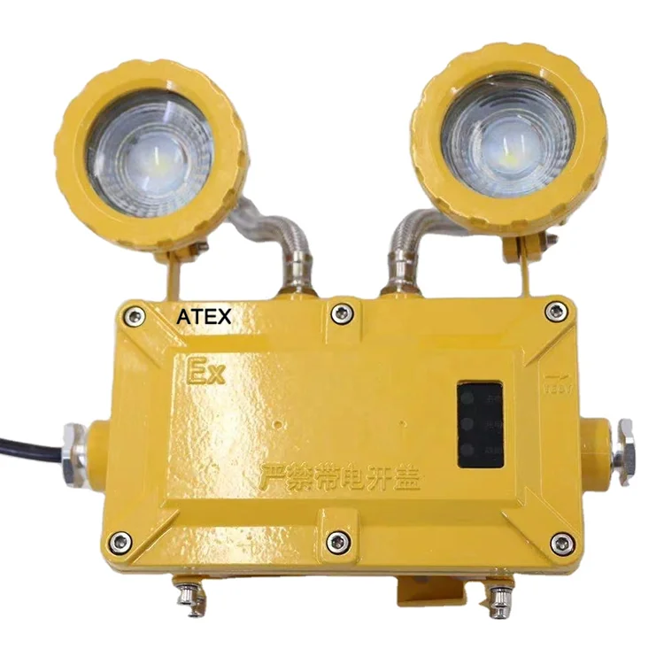 Рисунок 2 - LEDUN-вспышка с двойной головкой