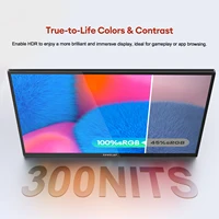 ZEUSLAP 18.5" Touch Screen Portable Monitor 100Hz 100% sRGB With Screen Holder Stand For Laptop Phone Xbox PS4 PS5 Switch - Image 4