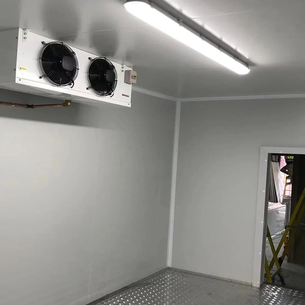 Low Noise Low Temperature Small Cold Room Refrigeration unit Cold Storage Room for Fish Manufacturers - Image 3