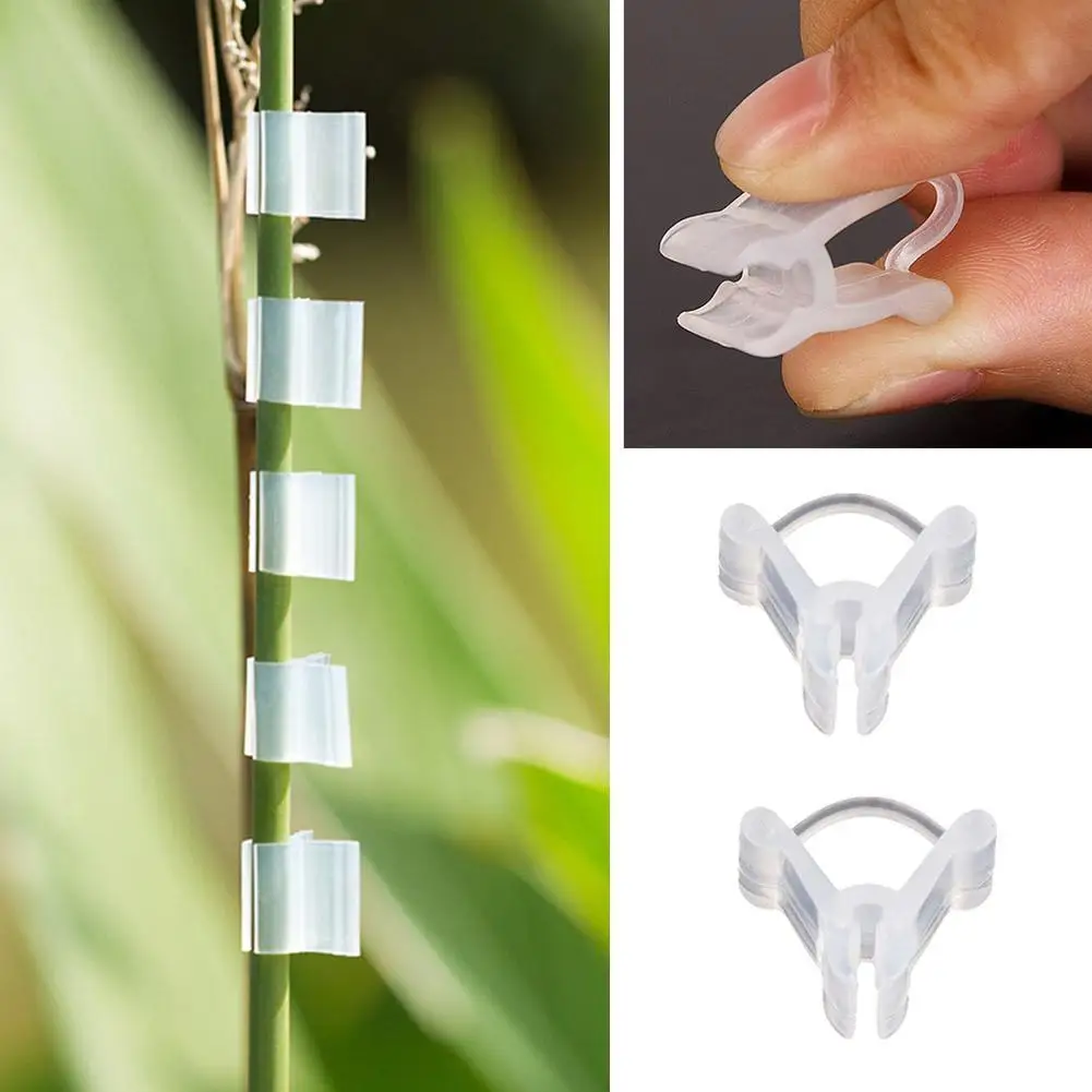 

100Pcs Plastic Home Gardening Grafting Clips Mini Transparent Tomato Plant Support Clamps Connecting Vine Seed Plant Tools