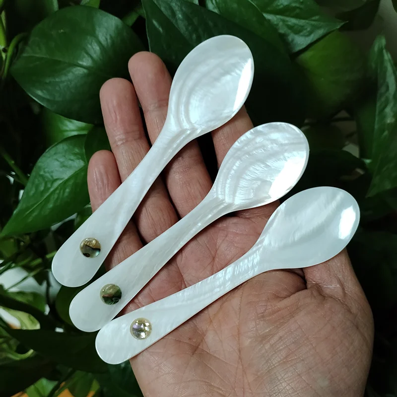 Stainless Steel Spoon Silicone Cooking Spoon Wooden Cooking Spoon Ceramic Spoons 3 PCS Shell Caviar Spoons Mother of Pearl Round Handle for Caviar Egg Ice Cream Coffee Restaurant
