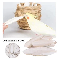 1-5PCS Cuttlefish Bone Natural Cuttlebone Parrot Chew Toys Parrot Calcium Supplements for Bird Cockatiel Parakeet Parrot 1