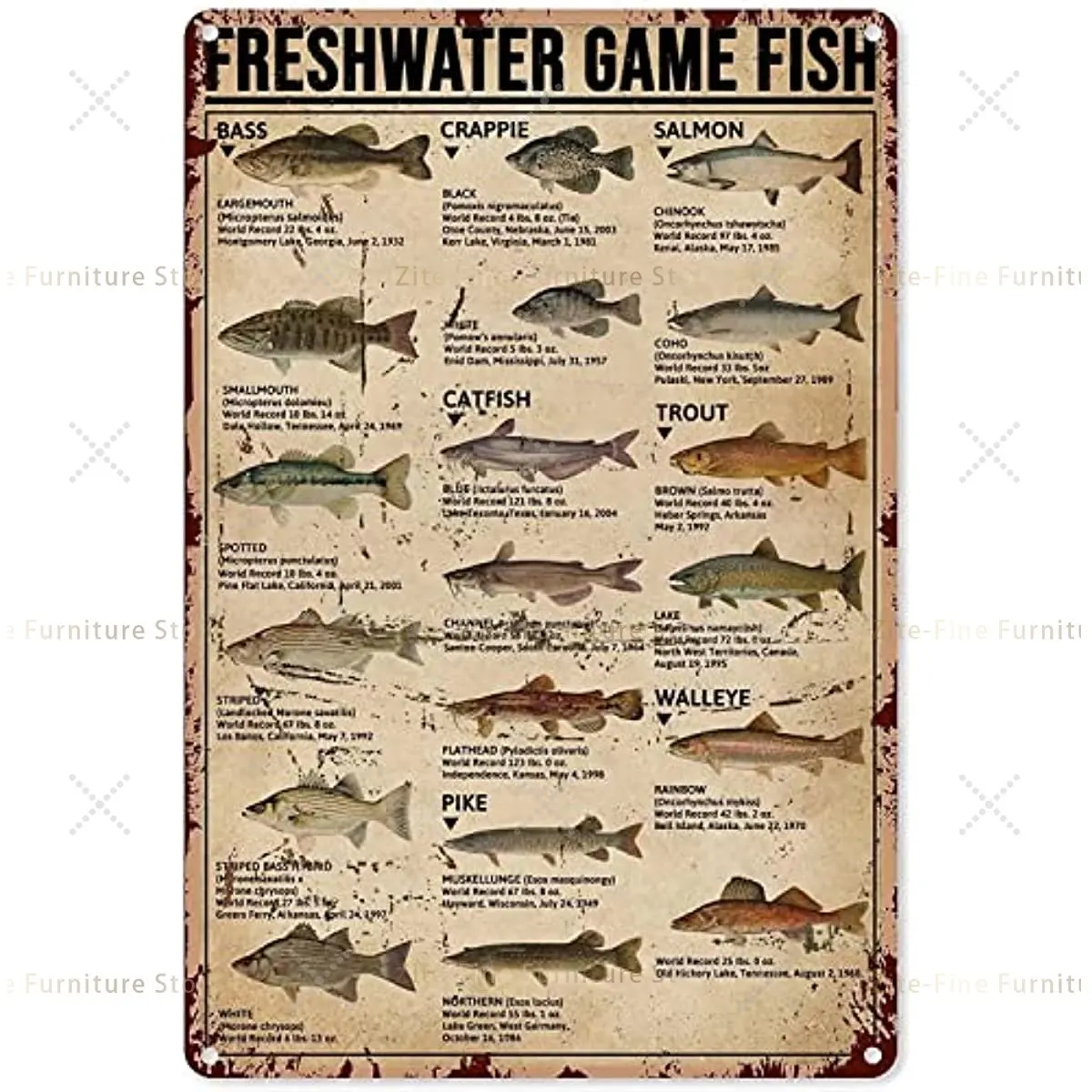 

Fish Aluminum Metal Sign,Freshwater Game Fish,Wall Decor Poster Home Bedroom Kitchen Bar Home Cafe 8X12 Inch