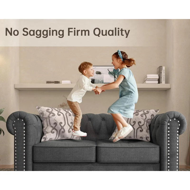Morden Fort Chair for Living Room, Chair Chesterfield No Sagging, Living 24'' Comfy Seat Depth, Accent Tool-Fr