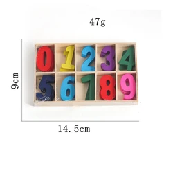Unfinished Wood Numbers for DIY Crafts, Education, and Home Decor with Storage Tray (Colorful)