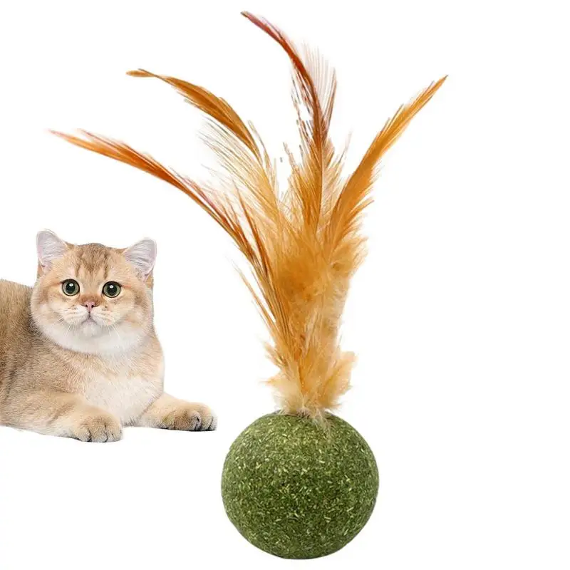 Giocattoli Per Gatti Catnip Kitten Catnip Feather Ball Interactive Natural Lollipop Natural Cat Kicker Feathers Design Pulizia Dei Denti Di Gatto
