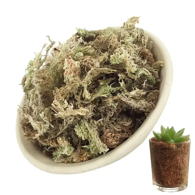 A Sphagnum Moha Kerti Hidratáló Táplálkozási Szerves Műtrágya Szárított Mohás Cserepes Keverék Phalaenopsis Orchideához