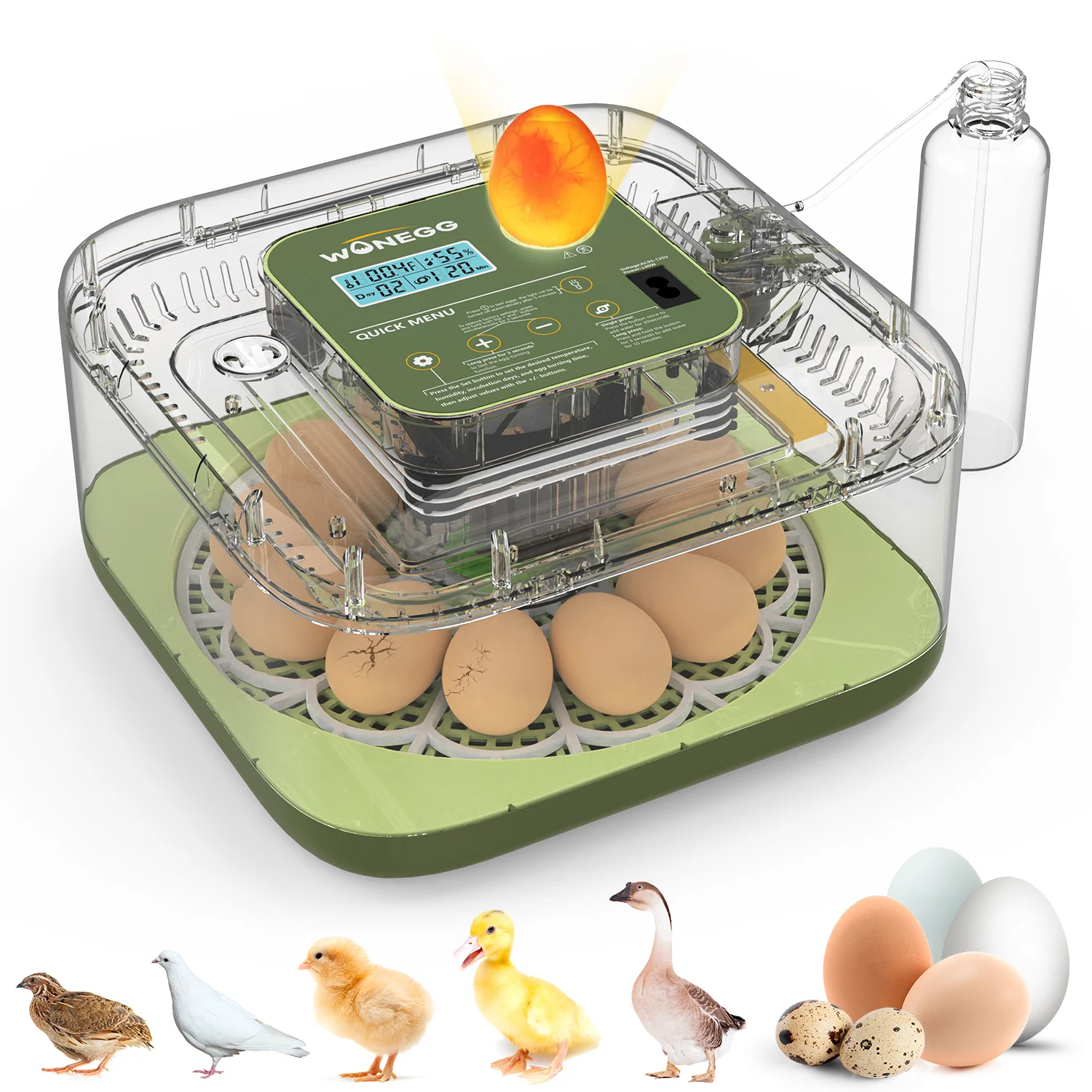 12 Eggs Incubator For Hatching Eggs, Temp And Humidity Control, 360°View Auto Water Adding, Egg Candler Egg Turning Countdown Ha