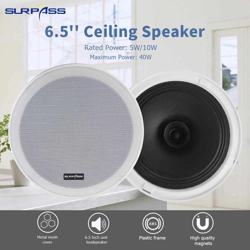 PA Loudspeaker 100V Speaker Constant Voltage 10W Speakers Music System