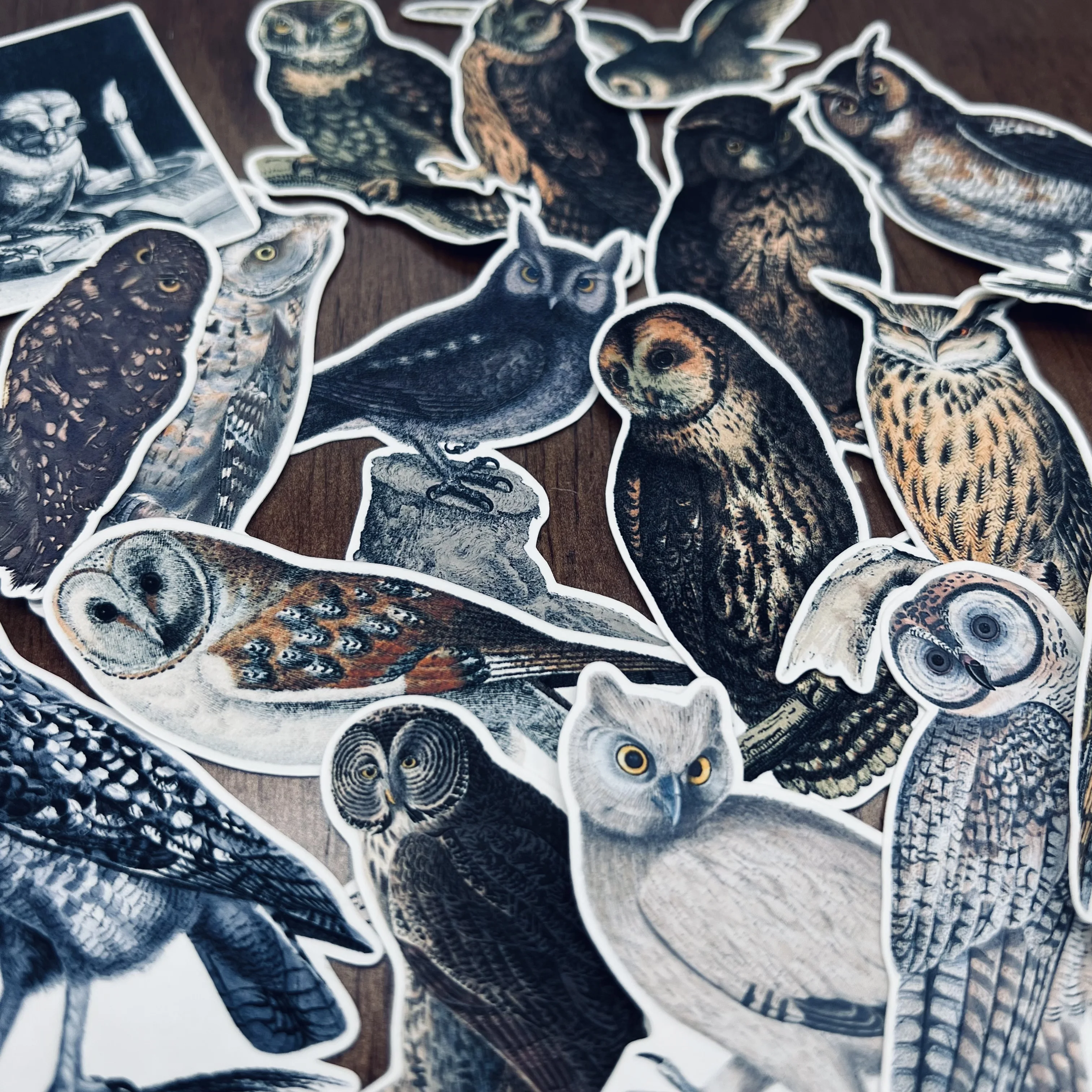 Decorative Stickers Junk Journal Retro Owl Stickers for DIY Scrapbooking