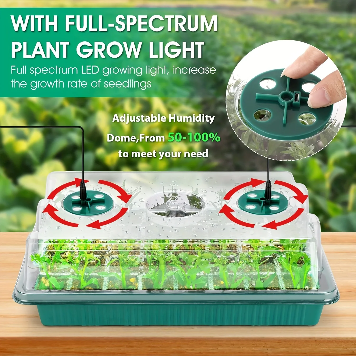 2 Packs Seed Starter Tray With Grow Light With Timing Controller Adjustable Brightness 80 Cells For Indoor Planting hydroponic germination tray seedling box