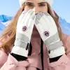 Winter Snowboard Ski Gloves Non-slip Touch Screen Waterproof Motorcycle Cycling Plush Warm Riding Gloves High-quality 3