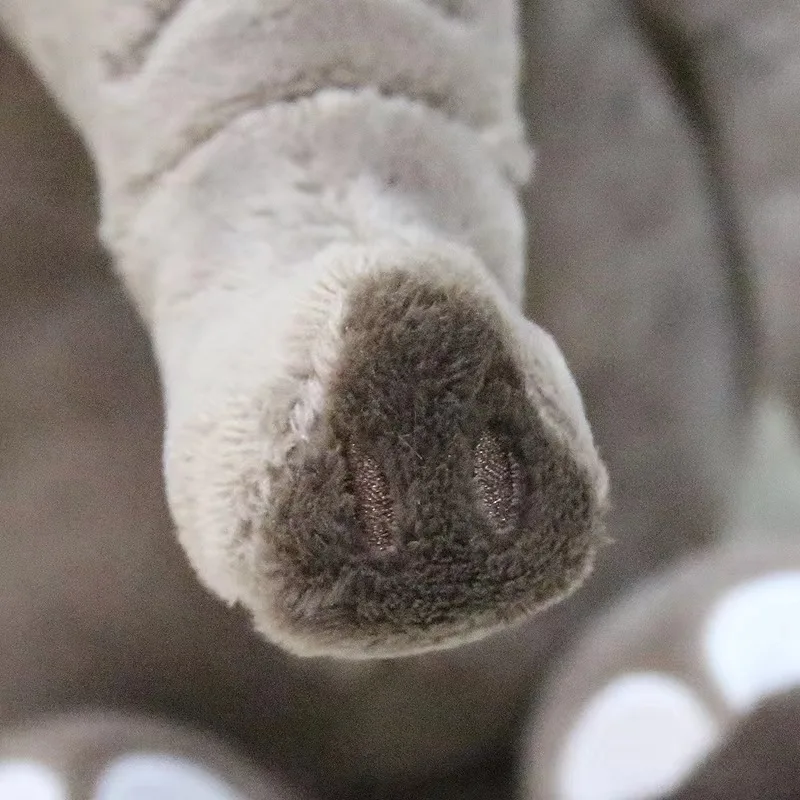 25cm ڳ ÷ 峭 PP ư  , ڳ  ,  , ε巯 Elephish 