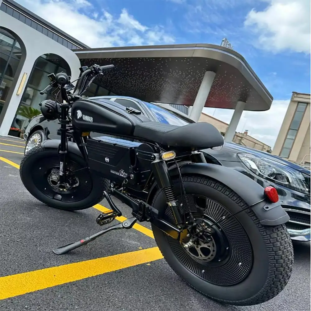 20 Inch 2000W/3000W 48V SUPER73 Super Fast Off-road Electric Bicycle Fat Tire Motorcycle Max Speed 70KM/H WYL