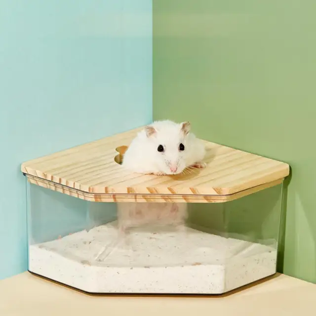 Hamster Golden Bear Sand Bath Box 5