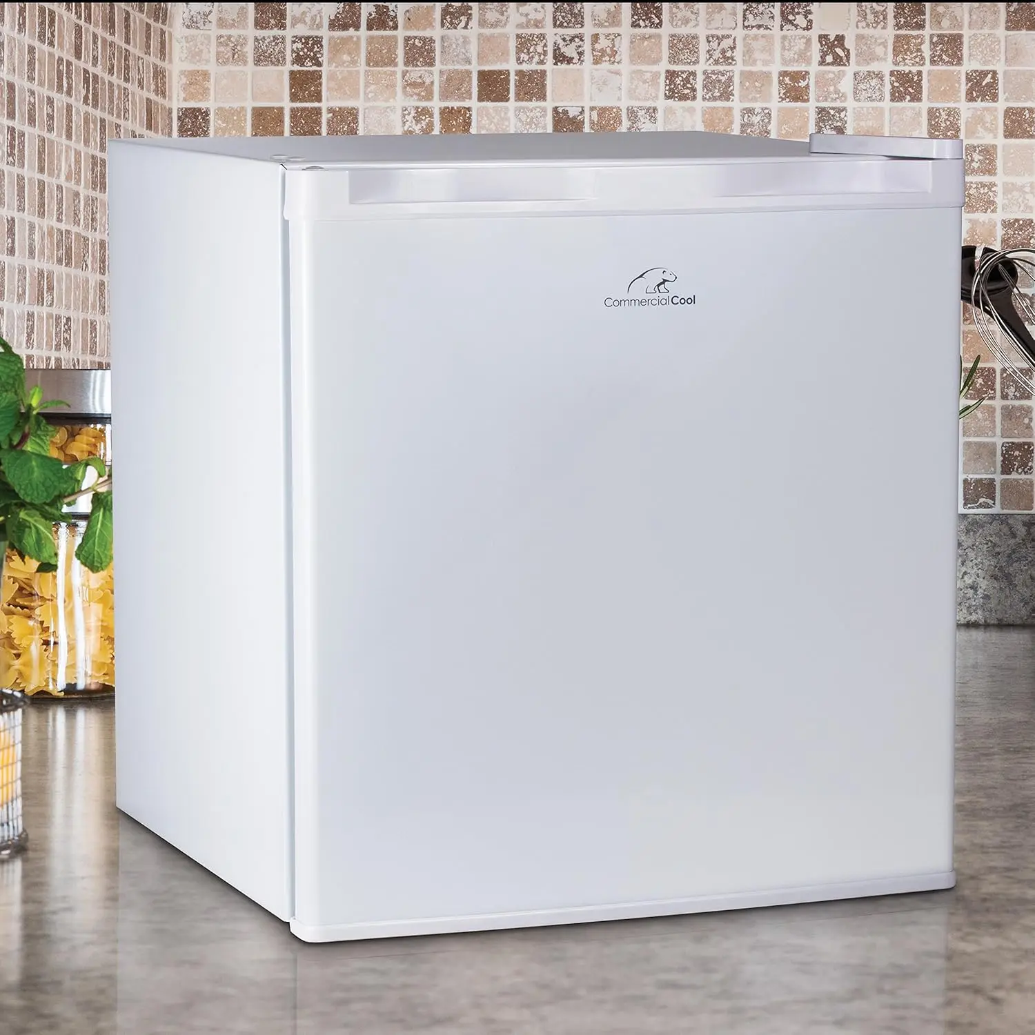 Compact Single Door Refrigerator and Freezer, 1.6 Cu. Ft. Mini Fridge, White