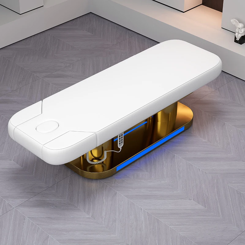 Stretcher Professional Aesthetics Cosmetic Bed Message Electric Massage Portable Aesthetic Beauty Treatment Cabin Couch Spa