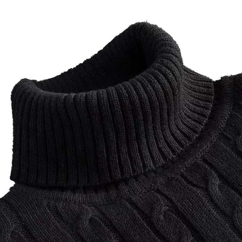 Animal Game Outdoor Men's Long Knitwear Pullover Sweaters Turtleneck Sweater Casual Sweater Winter Warm Basic Top Cold Blouse