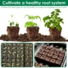 Garden Metal Micro 3/4inch Cell Block Mini Handheld Manual Blocker 20 Seed Maker New Soil Blocking Tool 6