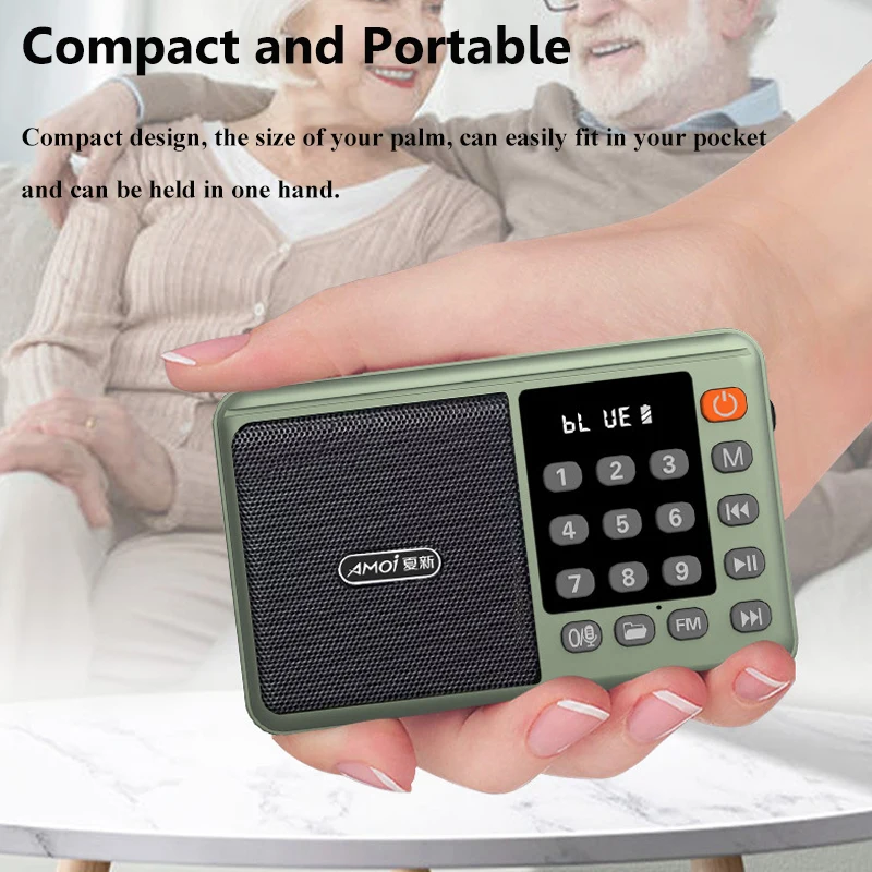 Mini Portable FM Radio LED Display Digital Radios Receiver Wireless Bluetooth Speaker USB TF Card Music Player Support Recording