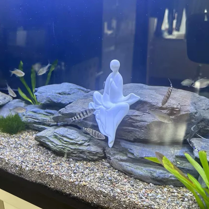 (未使用･未開封品)Aquarium Meditation [DVD] 未使用・未開封品)Aquarium Meditation [DVD]