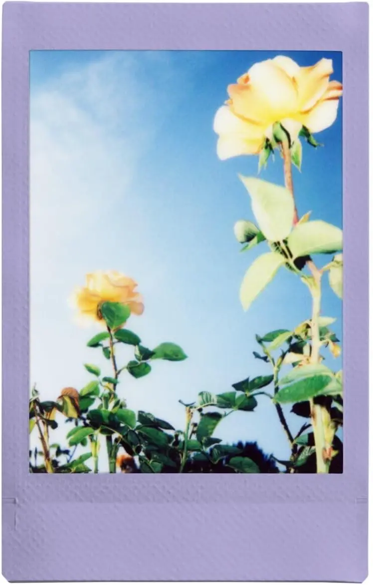 Fujifilm Instax Mini Color Film Soft Lavender Film 10/30/100 Sheets For Fuji Mini 12 11 8 9 7s 25 26 Evo Camera(Expiry-2024/11)