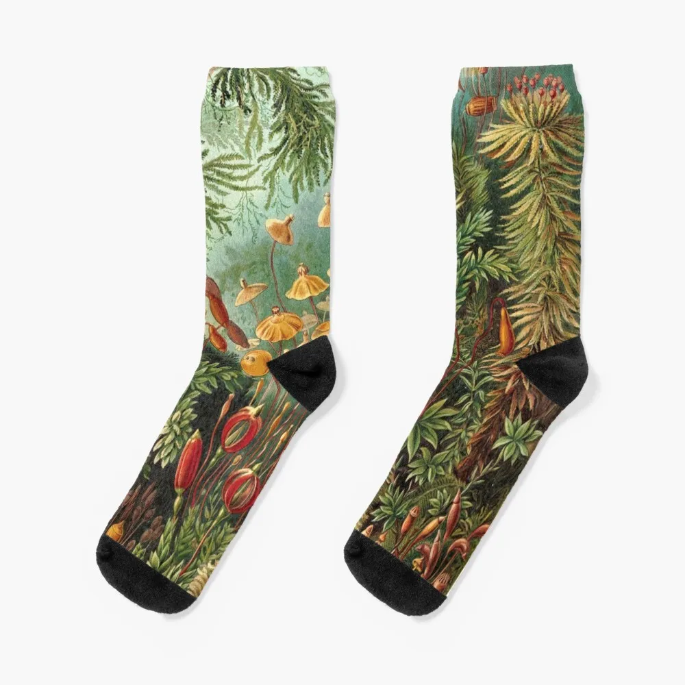 

Vintage Plants Decorative Nature Painting Illustration Artwork Socks cartoon floral loose Luxury Woman Socks Men's