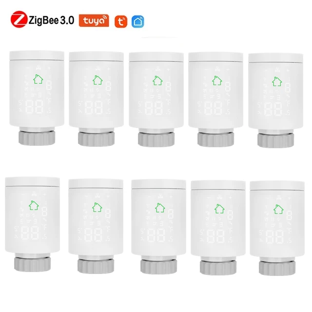 10Pcs