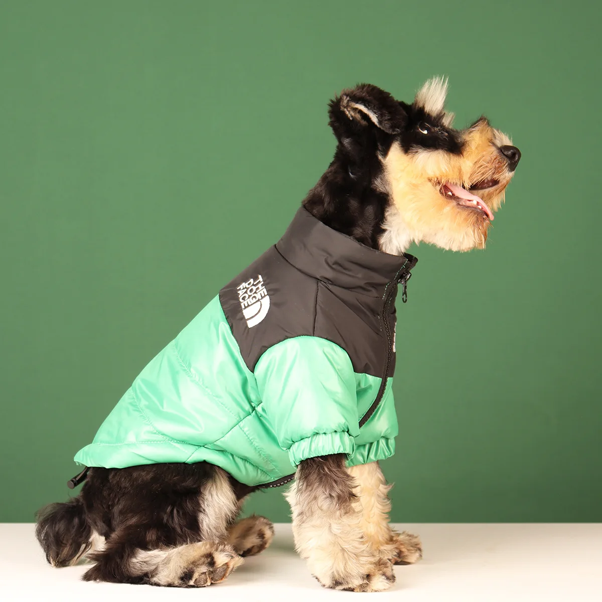 The Dog Face Puffer Coat - Green