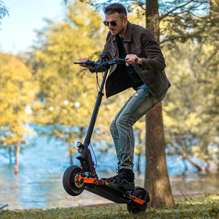 JOYOR S Series 10 Inch Dual Motor Off-Road Electric Scooter Double Drive Hoverboard Adult Foldable 48V 60V KickScooter