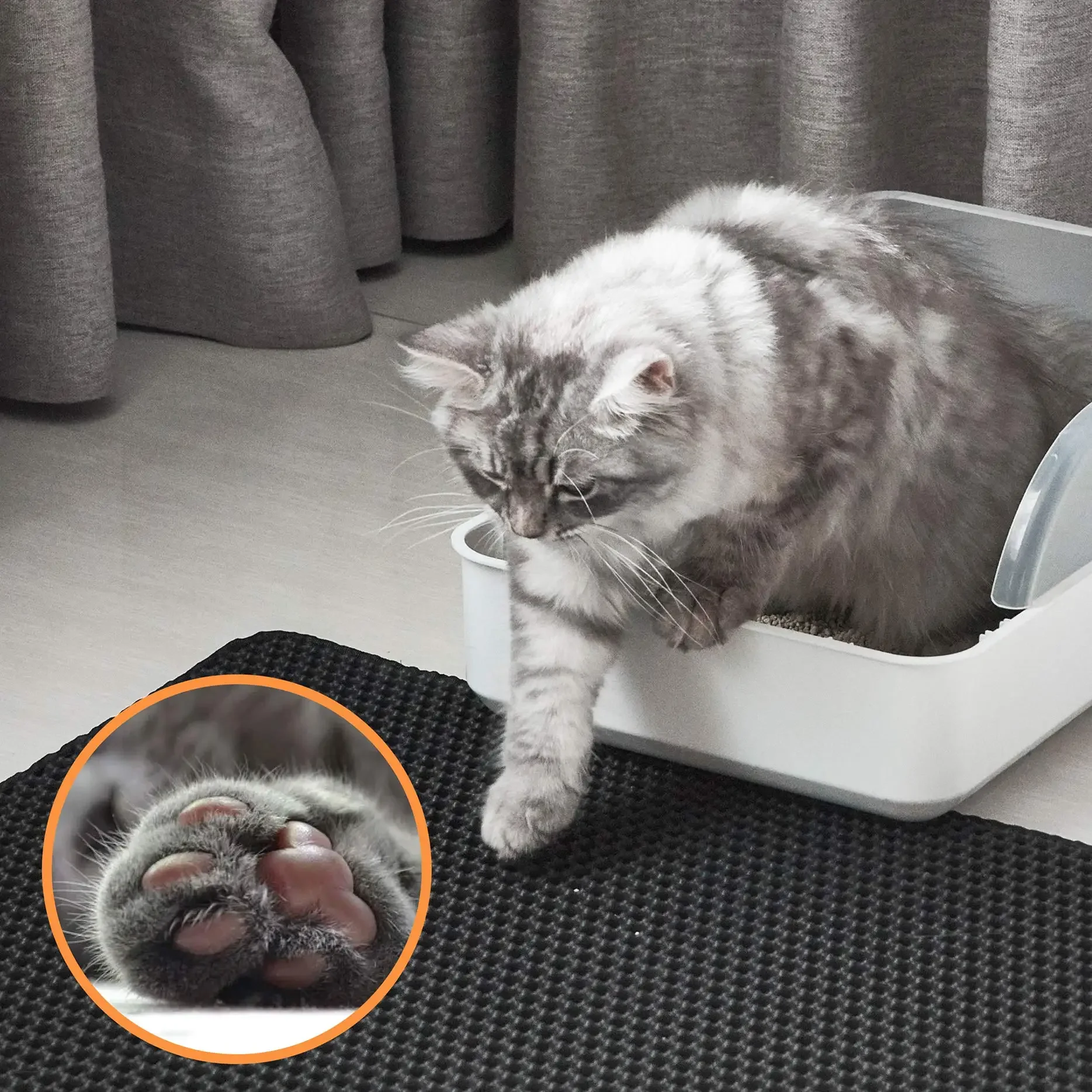 https://ae01.alicdn.com/kf/Saf387a36a01f4edf8d329fb1dbaa9a1dD/Cat-Litter-Mat-Honeycomb-Double-Layer-Design-Urine-and-Water-Proof-Material-Scatter-Control-Easier-Clean.jpg