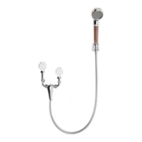 220V 2000W 30L/6.6 Gal chauffe-eau électrique avec douchette à main robinet protecteur de fuite cuisine douche chauffe-eau 3
